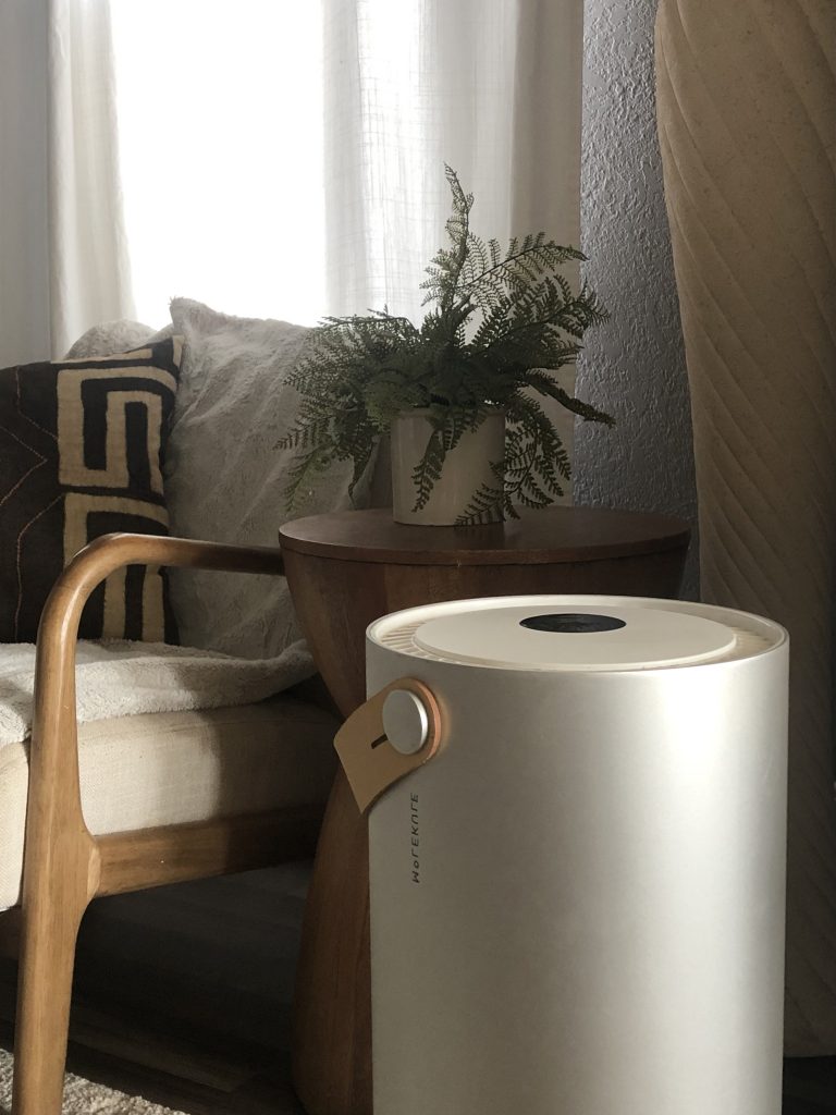 molekule air purifier